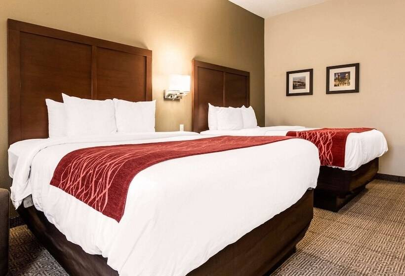 酒店 Comfort Inn & Suites Streetsboro  Kent