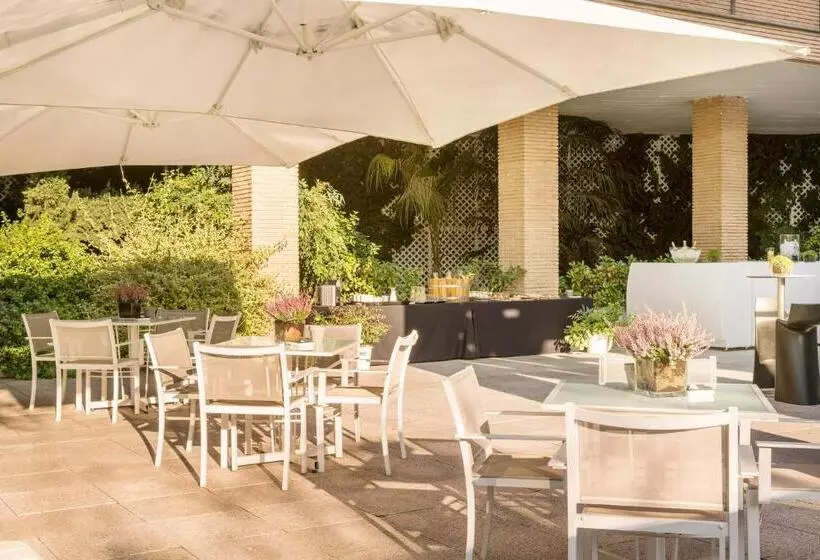 هتل Ilunion Pio XII