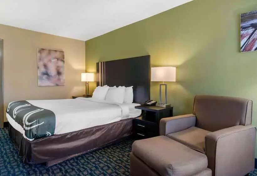 호텔 Quality Inn & Suites Brooksville I 75 Dade City