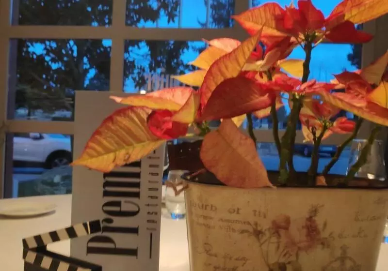 Отель Segovia Sierra De Guadarrama