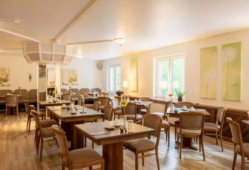 酒店 The Niu Stream