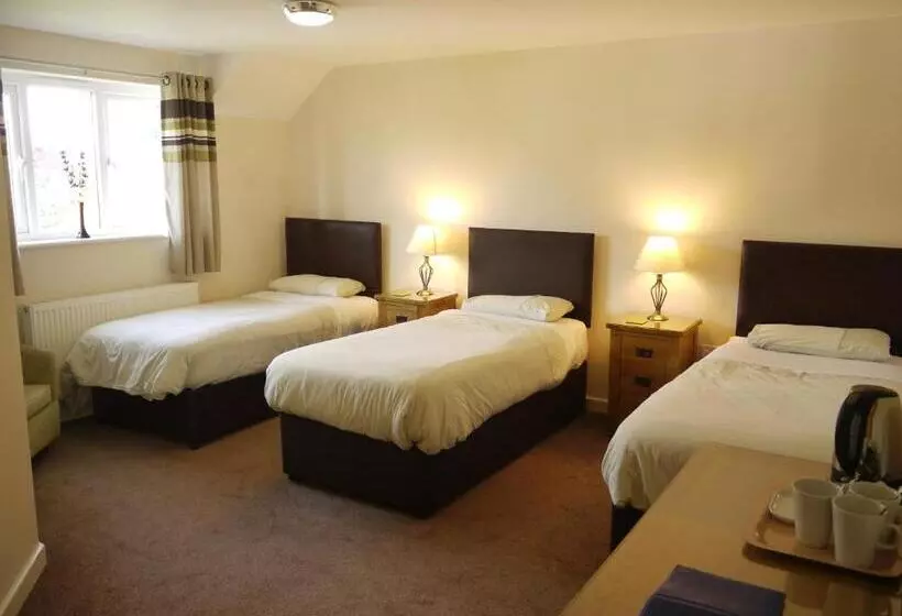 Отель The New Inn