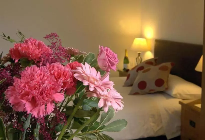 Отель The New Inn