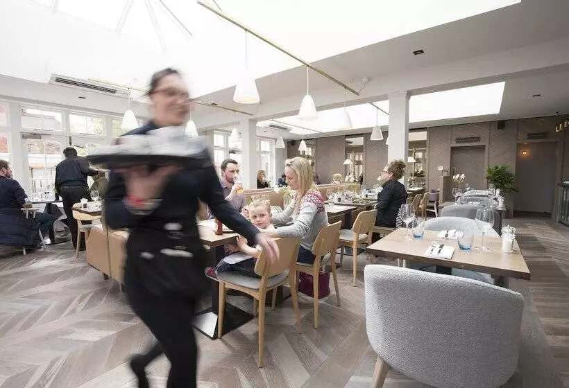 فندق The Royal Wells