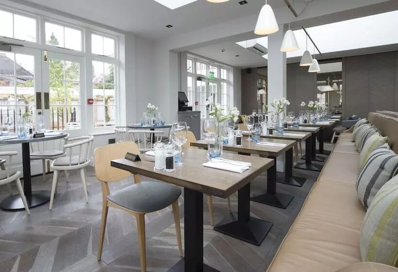 فندق The Royal Wells