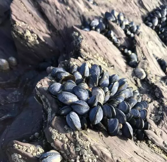 酒店 The Slipway B&b