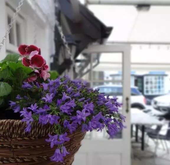 酒店 The Slipway B&b