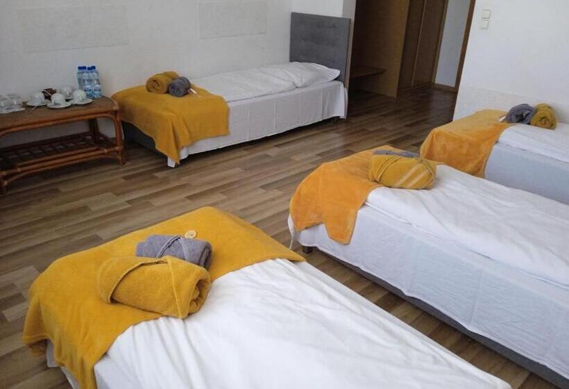 בית מלון כפרי Miodowy