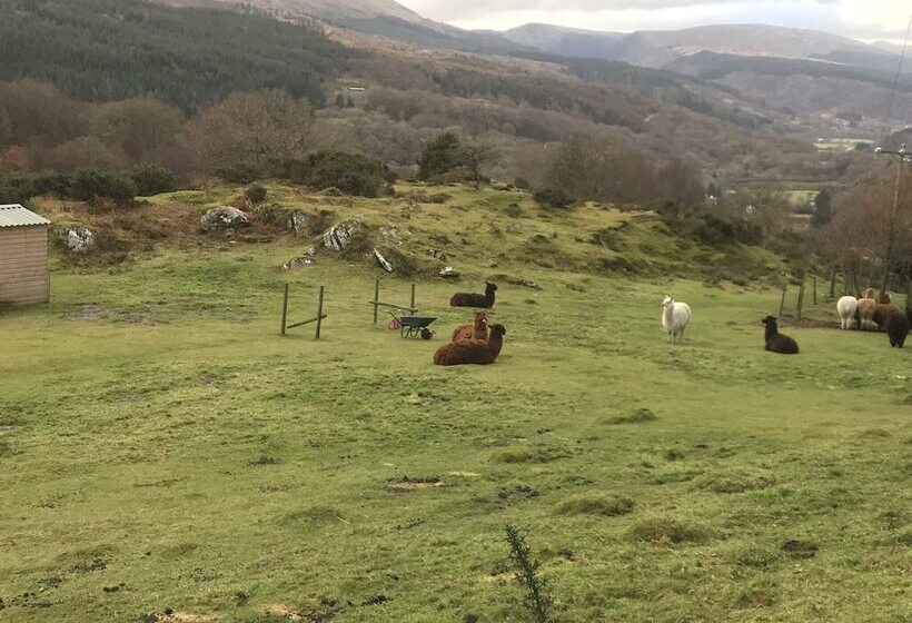 Impeccable 2 Bed Cottage Near Betws Y Coed