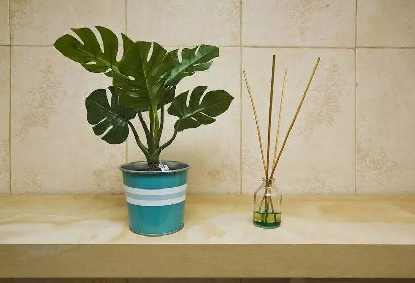 پانسیون C&o Guest House Alcântara Lisbon