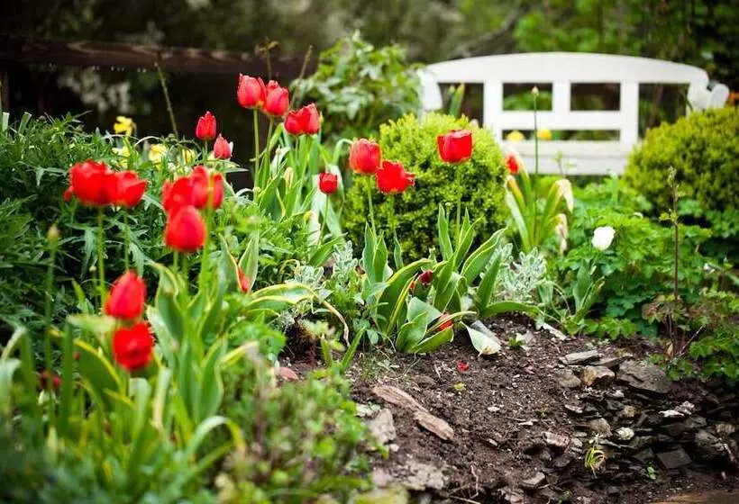 Spring Cottage B&b