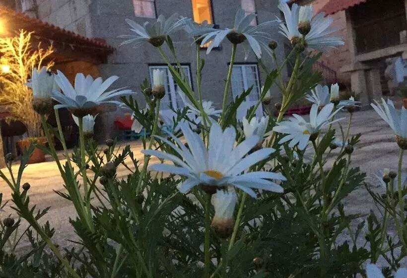 Aamiaismajoitus (B&B) Casa Da Ventozella