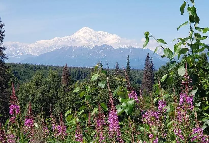 Denali Wild Stay