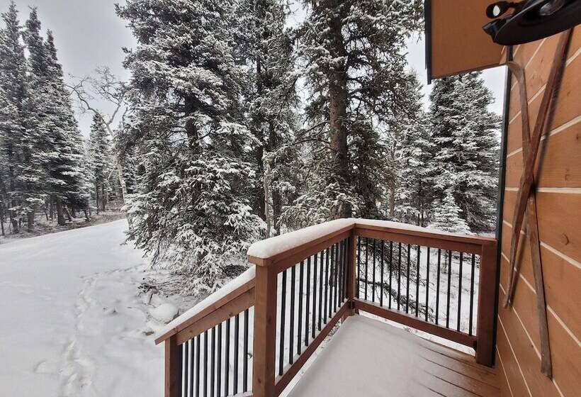 Denali Wild Stay