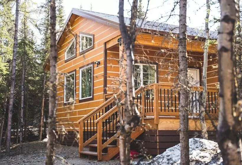 Denali Wild Stay