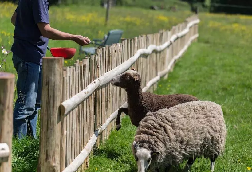 ホテル Midland Farm