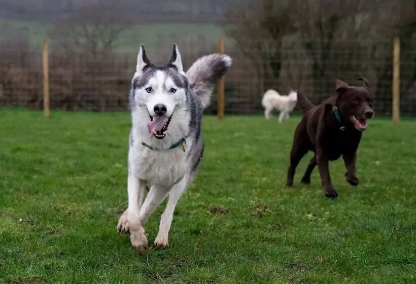 Pencastell Views Pod With Stunning Views