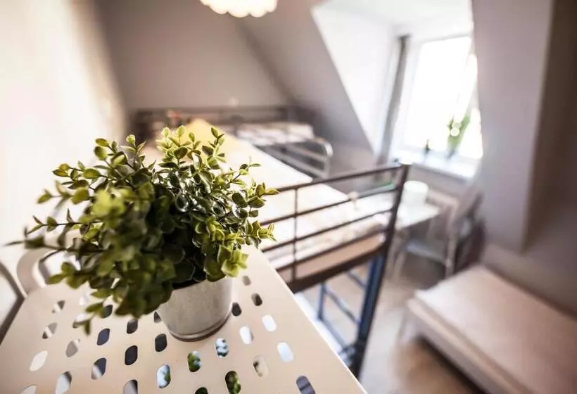 Bi Pi Hostel