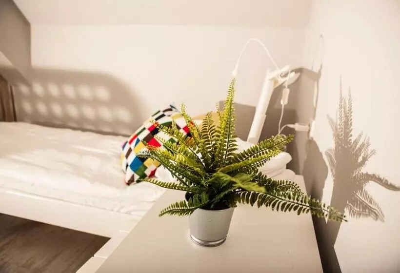 Bi Pi Hostel