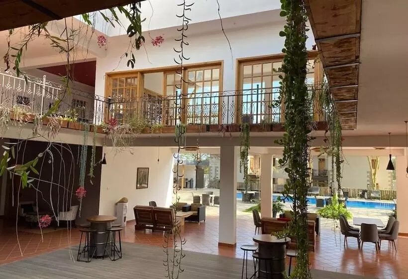 پانسیون Kahawa House