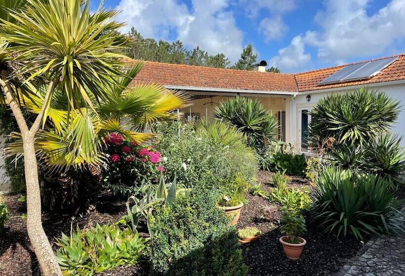 مبيت وإفطار Casa águas Mansas