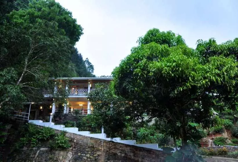 Hotelli Forest Edge