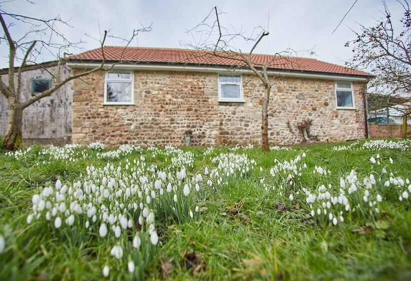 Snowdrop Cottage