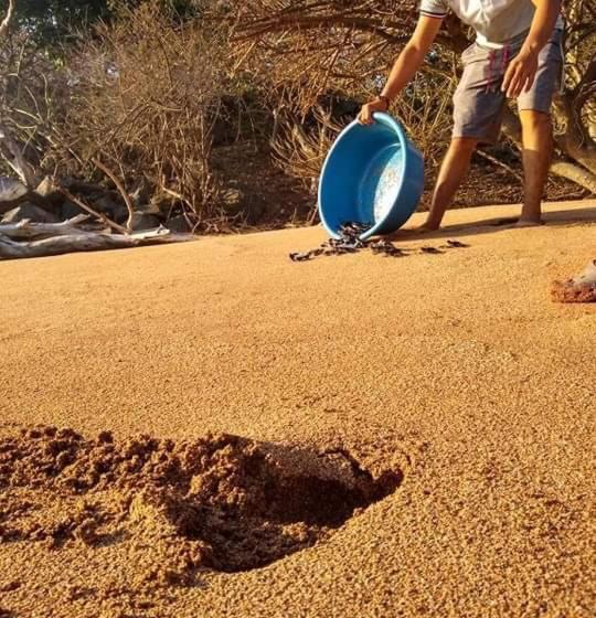 הוסטל Casa Garrobo