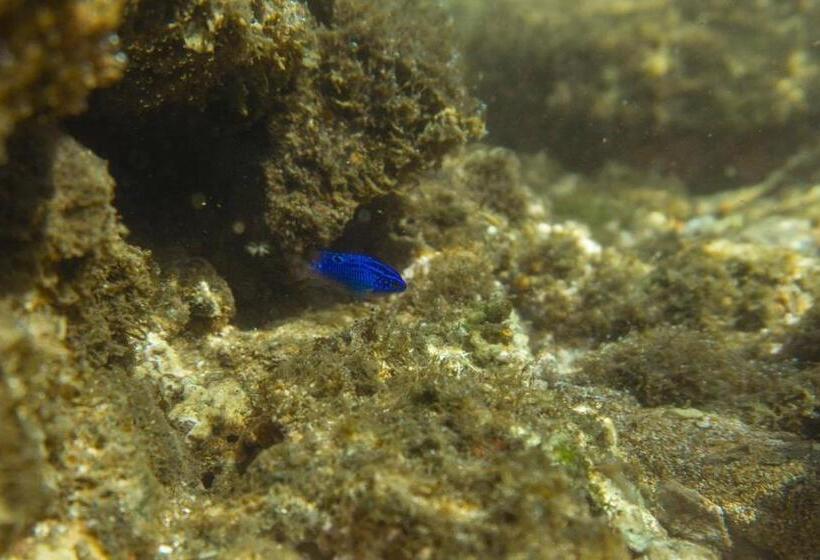 הוסטל Casa Garrobo