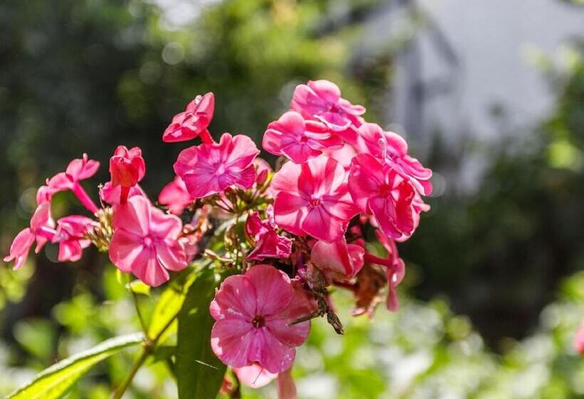 مبيت وإفطار Kleebergerhofke