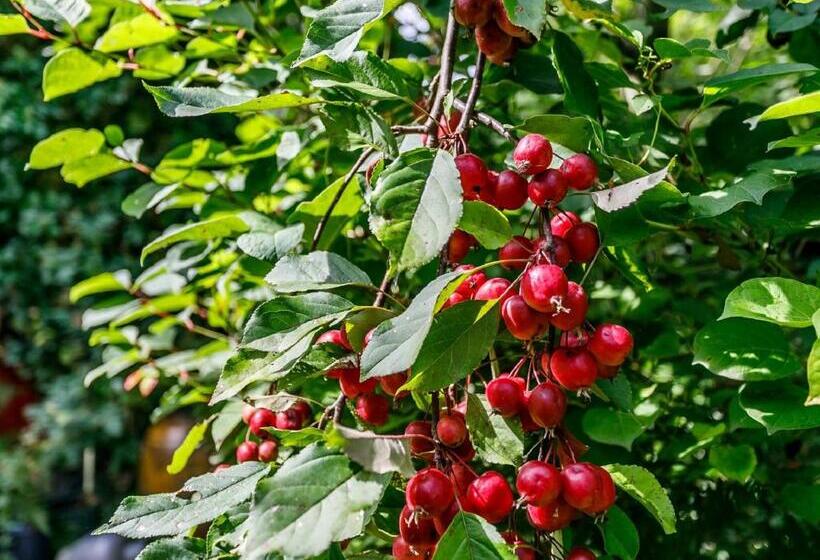 مبيت وإفطار Kleebergerhofke