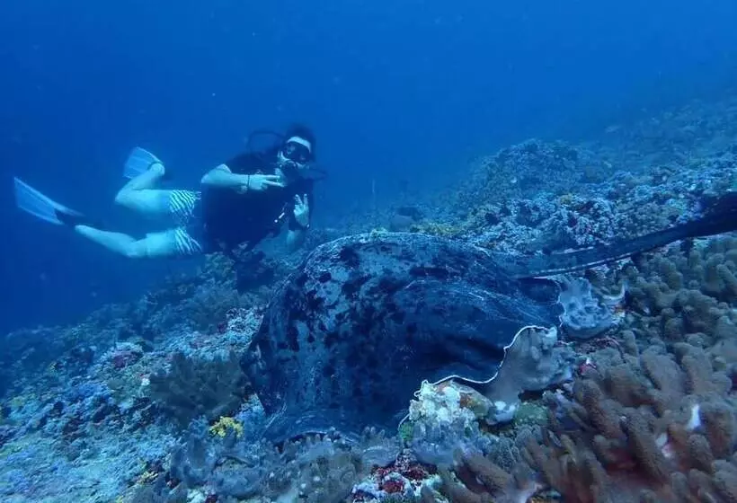 هتل Viluveli Holiday Retreat