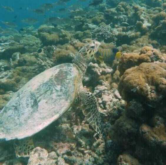 هتل Viluveli Holiday Retreat