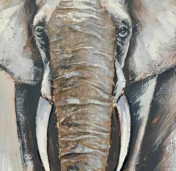 پانسیون Coccoa Boutique