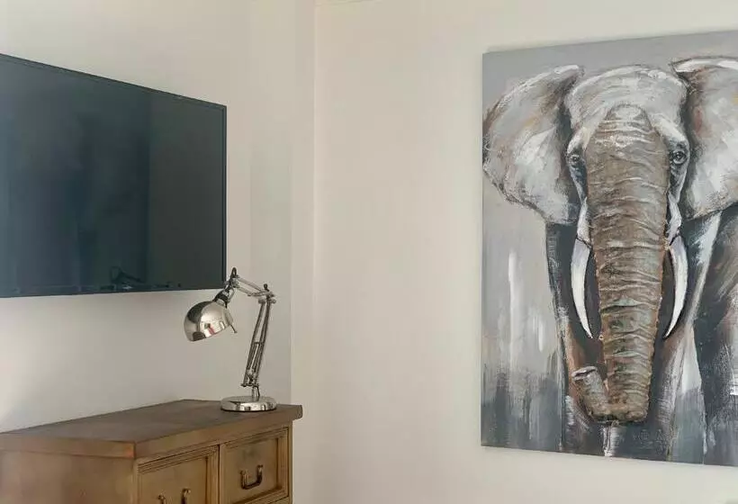 پانسیون Coccoa Boutique