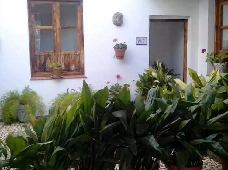 Cuevas Pedro Antonio De Alarcon