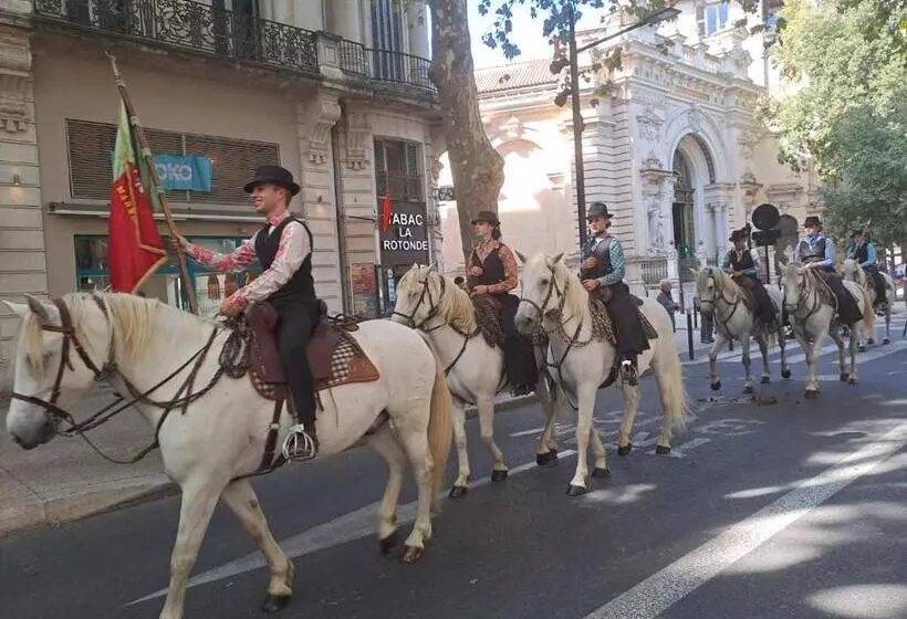 בית מלון כפרי Abalone  Centre Gare