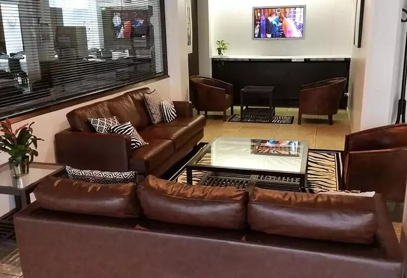 酒店 Adonis Lourdes Notre Dame de La Sarte