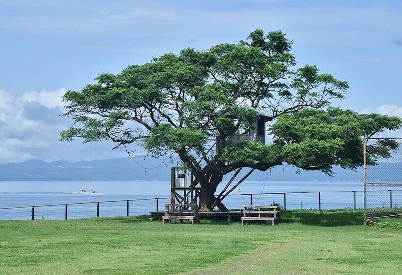 فندق صغير Yukusa Ohsumi Umi No Gakko