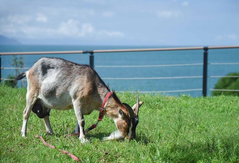 فندق صغير Yukusa Ohsumi Umi No Gakko