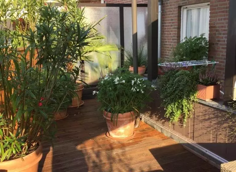 ホテル Zum Schiffchen