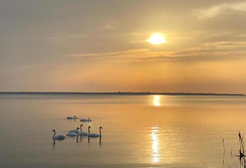 הוסטל гостиница «флинт»