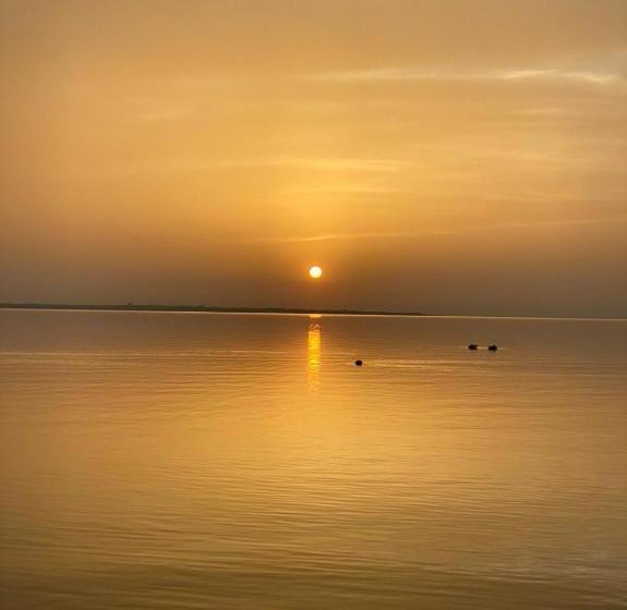 הוסטל гостиница «флинт»