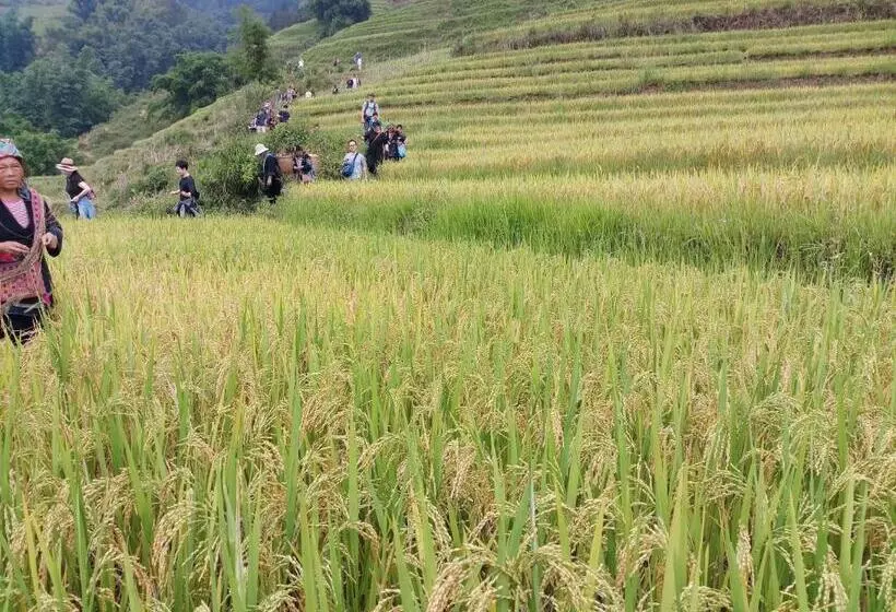 هاستل Tuongmai Home