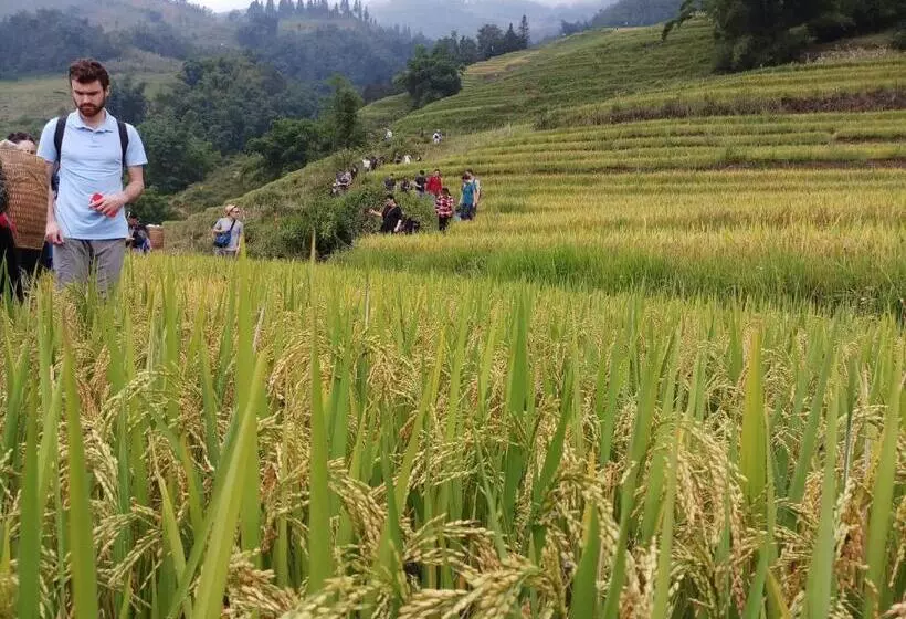 هاستل Tuongmai Home
