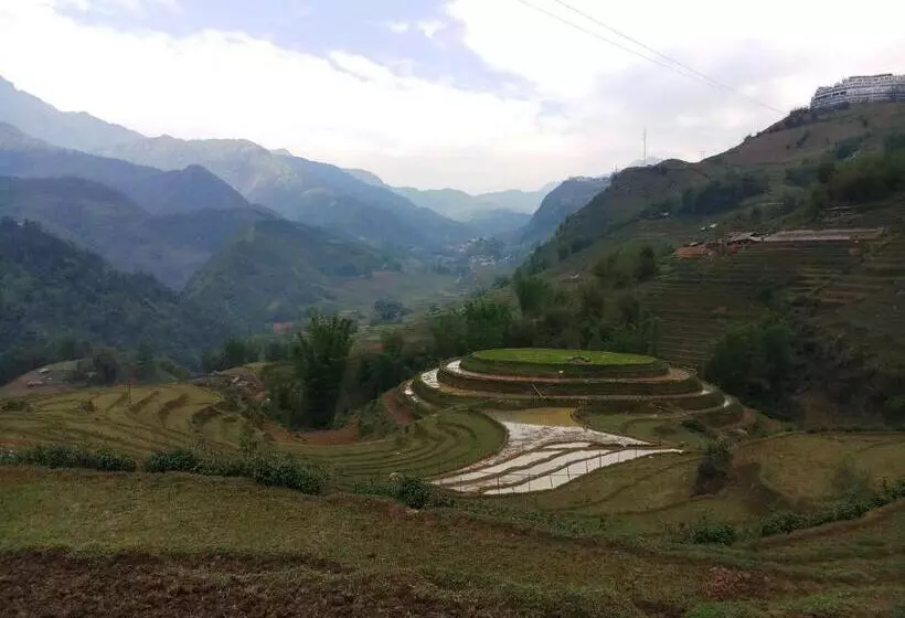 هاستل Tuongmai Home