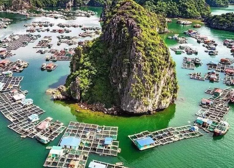 هتل Minh đức