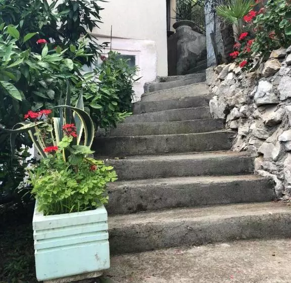 پانسیون панорама гагра