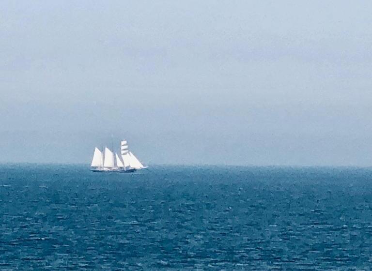 پانسیون Casa Blanca Zandvoort
