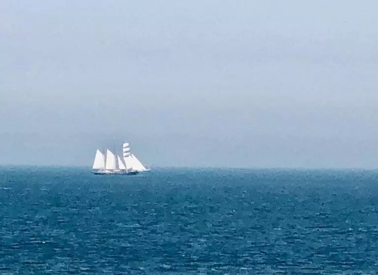 پانسیون Casa Blanca Zandvoort